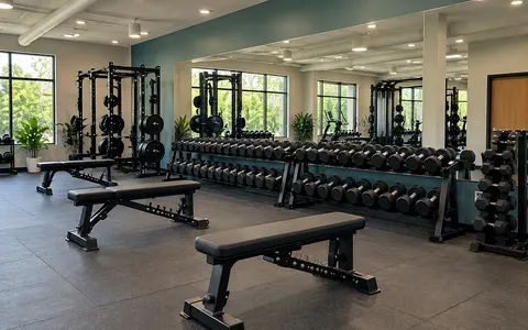 Free weights, example photo